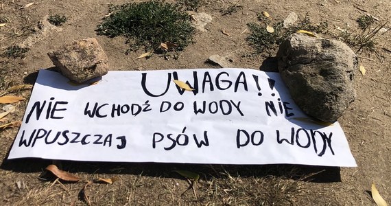 "Uwaga, nie wchodź do wody" - takie ostrzeżenia, autorstwa samych mieszkańców, można zobaczyć na terenach nad Odrą. Mieszkający tam ludzie na własną rękę informują o zagrożeniu skażoną wodą.