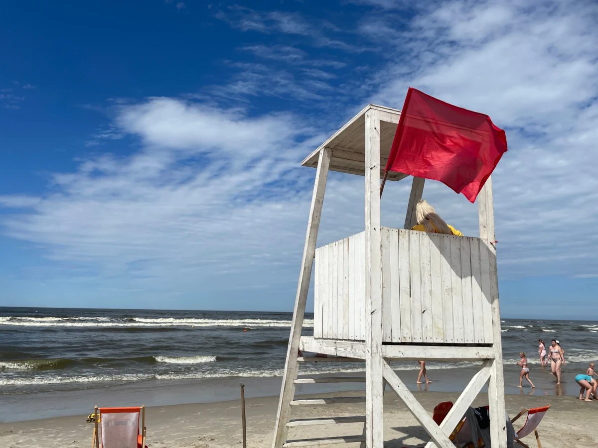 Kolejny dzień z sinicami nad Zatoką Gdańską. Zamknięte są plaże w nadmorskich miejscowościach. Czerwona flaga wisi nad większością kąpielisk w Trójmieście. Sprawdź gdzie nie można się kąpać. 
