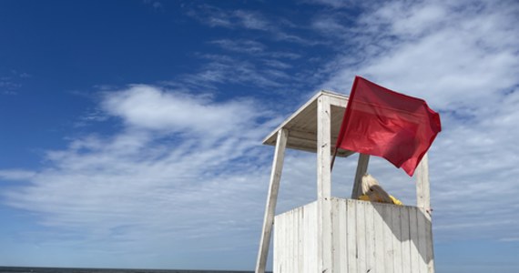 Kolejny dzień z sinicami nad Zatoką Gdańską. Zamknięte są plaże w nadmorskich miejscowościach. Czerwona flaga wisi nad większością kąpielisk w Trójmieście. Sprawdź gdzie nie można się kąpać. 
