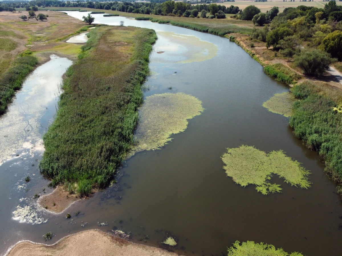 Obrońcy przyrody w Brandenburgii spodziewają się daleko idących konsekwencji dla Parku Narodowego Doliny Dolnej Odry w wyniku możliwego zatrucia rzeki. "Skutki są po prostu straszne" - powiedział wicedyrektor parku Michael Tautenhahn agencji dpa. "Dla parku narodowego jest to po prostu katastrofa" - dodał.