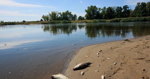 Minister środowiska niemieckiego landu Brandenburgia Axel Vogel poinformował o nowych wynikach badań próbek pobranych z Odry. Według niego za skażenie rzeki mogą być odpowiedzialne ładunki soli.