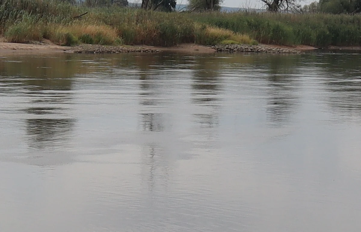 Ze stawu w rejonie ulic Krzewowej i Falistej na terenie Bielańsko-Tynieckiego Parku Krajobrazowego w Krakowie strażacy wyłowili ok. 300 ryb. Wstępne badania nie wykazały chemicznego skażenia wody, a według inspektorów ryby zdechły prawdopodobnie z powodu wysokiej temperatury i braku tlenu.