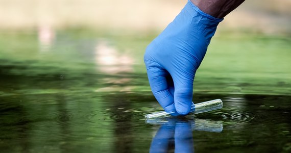 W Jeziorze Mucharskim i stawie na terenie Bielańsko-Tynieckiego Parku Krajobrazowego w Krakowie nie potwierdzono zanieczyszczenia chemicznego - poinformowano po posiedzeniu Wojewódzkiego Zespołu Zarządzania Kryzysowego. Stwierdzono tam w sumie kilkaset śniętych ryb. 