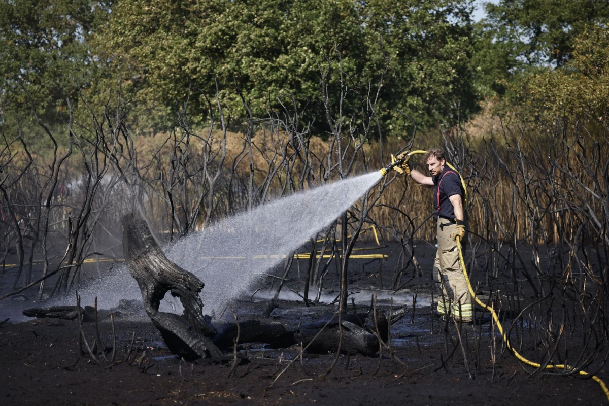 Od początku tego roku w Wielkiej Brytanii odnotowano trzy razy więcej szalejących pożarów dzikich terenów niż w całym 2021 r. – poinformował przewodniczący Krajowej Rady Szefów Straży Pożarnej (NFCC) Mark Hardingham.