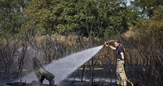 Od początku tego roku w Wielkiej Brytanii odnotowano trzy razy więcej szalejących pożarów dzikich terenów niż w całym 2021 r. – poinformował przewodniczący Krajowej Rady Szefów Straży Pożarnej (NFCC) Mark Hardingham.