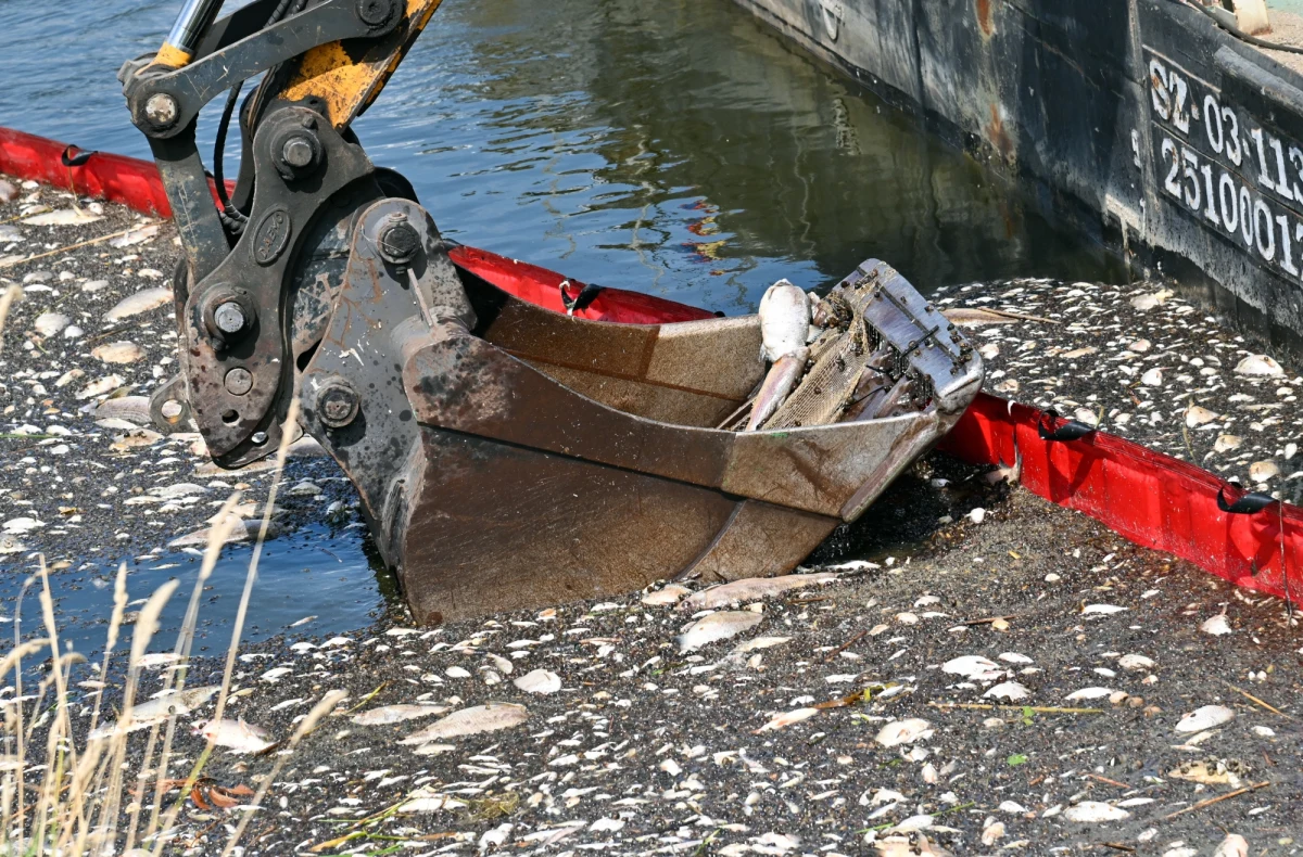 Unijny komisarz do spraw środowiska Virginijus Sinkevičius rozmawiał przez telefon z minister klimatu i środowiska Anną Moskwą na temat sytuacji na Odrze. Jak ustaliła nasza dziennikarka w Brukseli Katarzyna Szymańska-Borginon, rozmowa odbyła się z inicjatywy komisarza.