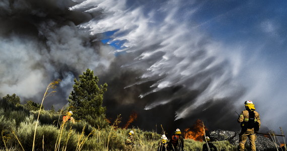 Chociaż sezon największych pożarów jeszcze się nie skończył, to liczba pożarów w krajach Unii Europejskiej rośnie, a od stycznia ogień szalał na powierzchni ponad 660 tys. hektarów, co stanowi rekord na tym etapie roku - wynika z badań Europejskiego Systemu Informacji o Pożarach Lasów EFFIS.