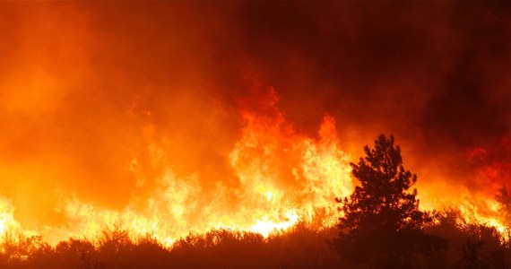 Prawie 20 tys. hektarów lasów i nieużytków rolnych spłonęło w nocy z poniedziałku na wtorek, w kilku wspólnotach autonomicznych Hiszpanii. W kilku gminach trwa ewakuacja ludności.