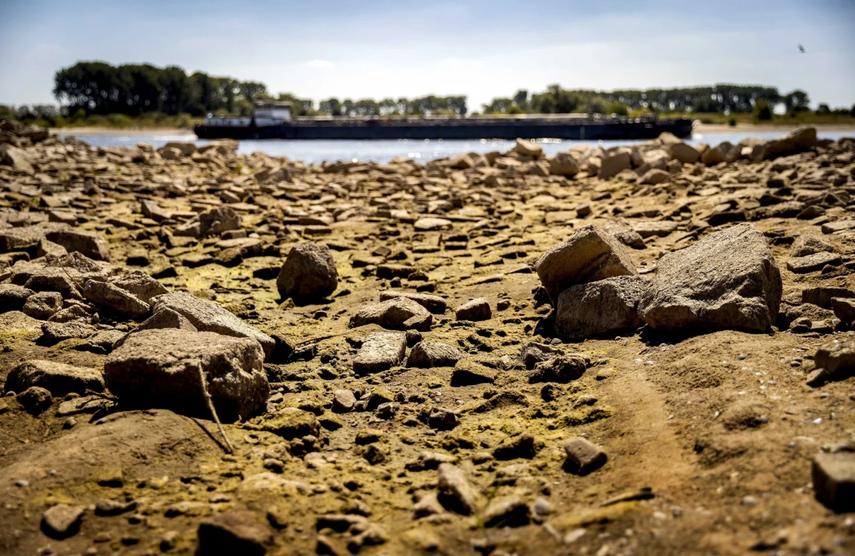 "Kamienie głodu” to głazy w rzekach, które widać tylko przy bardzo niskim poziomie wody. Teraz znowu się wyłoniły. Susza sprawiła, że na kamieniach na Renie i Łabie w Niemczech można przeczytać daty poprzednich susz. Ich wyłonienie się nie zwiastuje nic dobrego. 