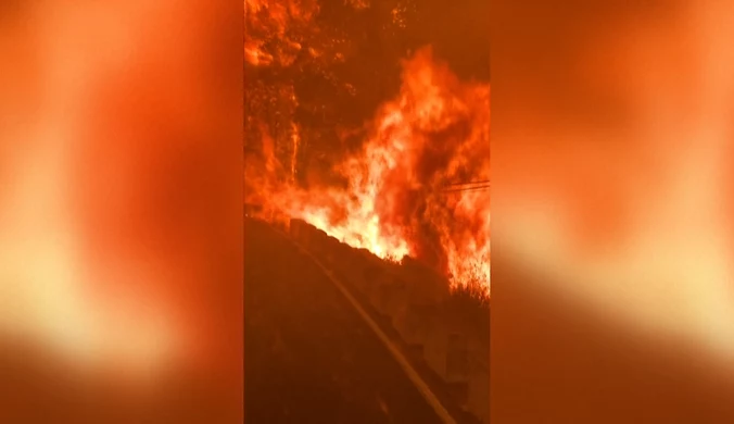 Widoki z piekła rodem. Strażacy walczą z pożarami na południu Hiszpanii