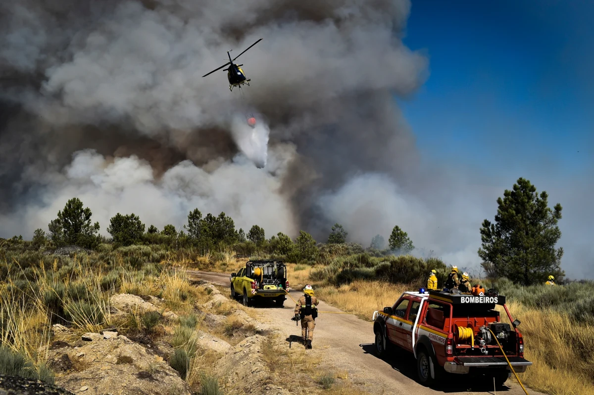 Pożar w masywie górskim Serra da Estrela, we wschodniej Portugalii, wyemitował 25 razy więcej energii, niż eksplozja bomby atomowej w Hiroszimie w 1945 roku - powiadomiły służby obrony cywilnej tego kraju (ANEPC).