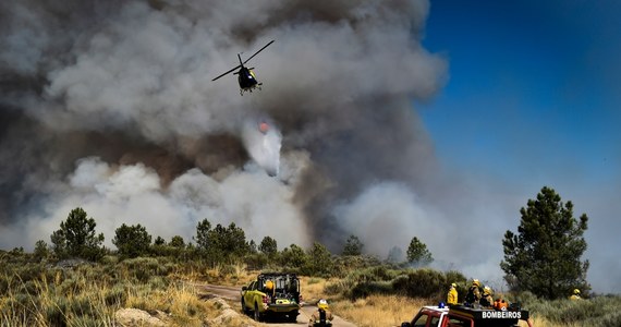 Pożar w masywie górskim Serra da Estrela, we wschodniej Portugalii, wyemitował 25 razy więcej energii, niż eksplozja bomby atomowej w Hiroszimie w 1945 roku - powiadomiły służby obrony cywilnej tego kraju (ANEPC).