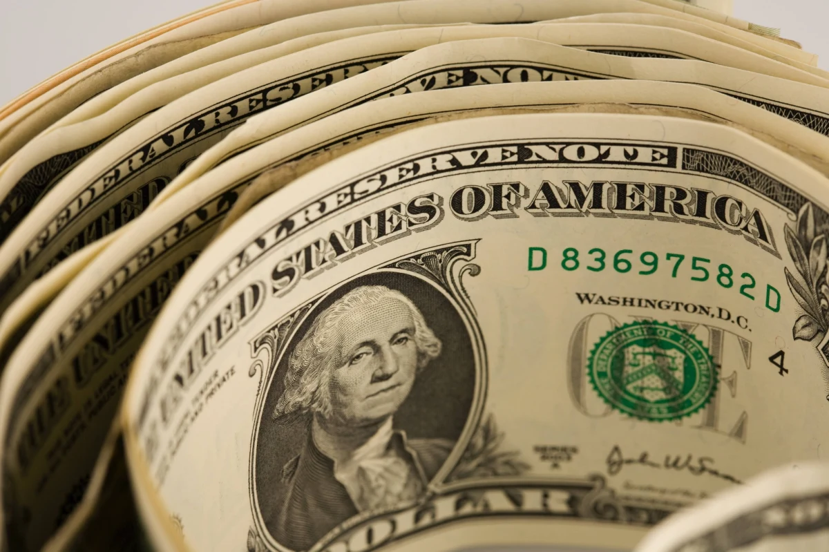 Polacy trzymają w bankach coraz więcej dolarów i euro. Zdaniem ekspertów to przede wszystkim sposób na ucieczkę przed inflacją i ochronę wartości oszczędności – pisze środowa "Rzeczpospolita". 