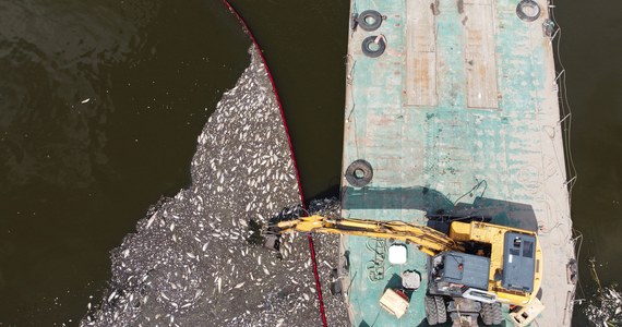 Dotychczasowe badania wody z Odry i ryb nie potwierdziły obecności toksyn - powiedziała minister klimatu i środowiska Anna Moskwa. Pracują eksperci, trwają analizy, zdecydowano m.in. o dodatkowym badaniu dna i zdjęciach satelitarnych - zaznaczyła. 