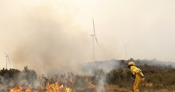 Trzynastu pasażerów pociągu dalekobieżnego zostało rannych we wschodniej Hiszpanii podczas próby ewakuacji z wagonów, do których zbliżył się pożar przy jednym z kompleksów leśnych. Trzy osoby są w stanie ciężkim - podały hiszpańskie służby medyczne.