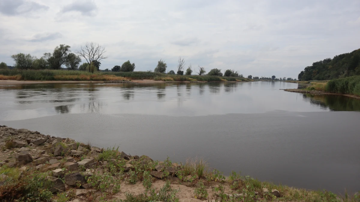 "Dzisiaj robimy pierwszą taką bardzo spontaniczną akcję spotkania przy moście w Cigacicach po to, by dać niejako sygnał, że chcemy wiedzieć, bo ta niewiedza (dotycząca przyczyn skażenia Odry - red.) trwa już bardzo długo" - powiedział Tomasz Włoch, przedsiębiorca z Cigacic, który był gościem rozmowy w internetowym radiu RMF24. Jak dodał, "ten strach, ta niewiedza, to jest główna przyczyna dla której nie ma tutaj ludzi i nikt nie odwiedza już miejsc nadodrzańskich".