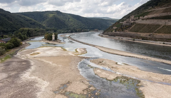 Niemcy: Rekordowo niskie stany wód w rzekach. Pojawiły się "kamienie głodu"