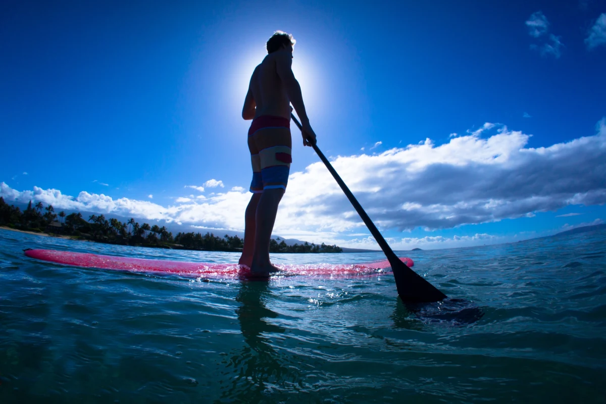 Niezwykłe spotkanie z wielorybami zaliczyli dwaj mężczyźni, którzy pływali na deskach SUP u wybrzeży argentyńskiego Monte Hermoso. Choć jeden ze ssaków zahaczył o deskę SUP, co spowodowało, że jeden z Argentyńczyków wpadł do wody, to mężczyźni uznali, że cała historia była „radosnym przeżyciem”.