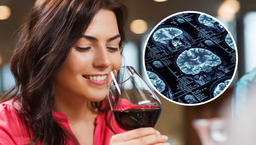 Abuso de alcohol: efectos sobre el funcionamiento del cerebro y del sistema nervioso