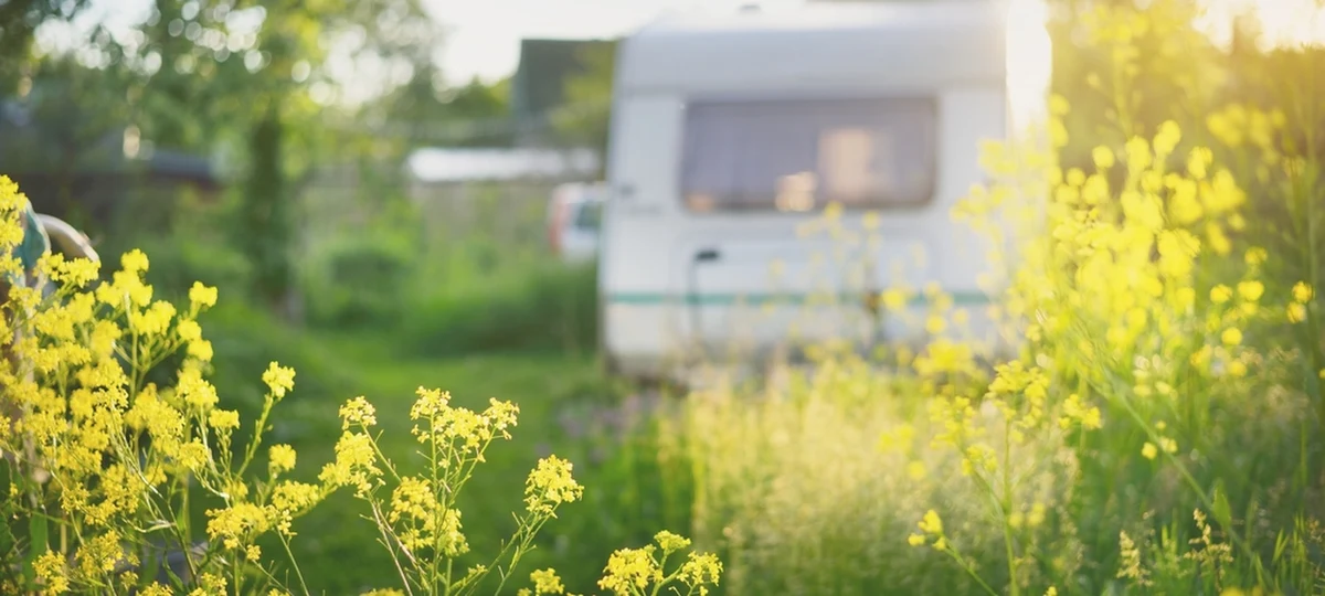 Spacerowicze przecierali oczy ze zdumienia widząc turystyczną przyczepę kempingową i obozowisko rozłożone nad brzegiem stawu w parku Julianowskim w Łodzi - informuje łódzki urząd miasta. Weekendowy biwak zorganizowała tam para mieszkańców z jednej z okolicznych miejscowości.