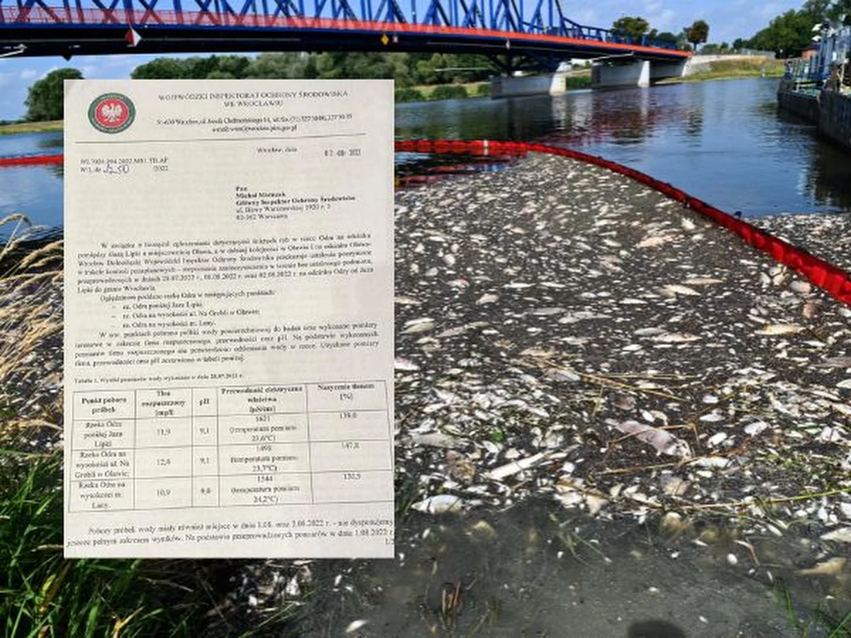 Szokujące informacje o olbrzymim skażeniu Odry urzędnicy w Warszawie mieli już na początku sierpnia. Tak wynika z dokumentów, do których dotarli dziennikarze RMF FM. Inspektorzy Ochrony Środowiska z Wrocławia już pod koniec lipca badali skażenie Odry. Oficjalne pismo w tej sprawie wysłali do GIOŚ 3 sierpnia. Tego samego dnia Główny Inspektor Ochrony Środowiska polecił wojewódzkim inspektorom objęcie sprawy szczególnym nadzorem.