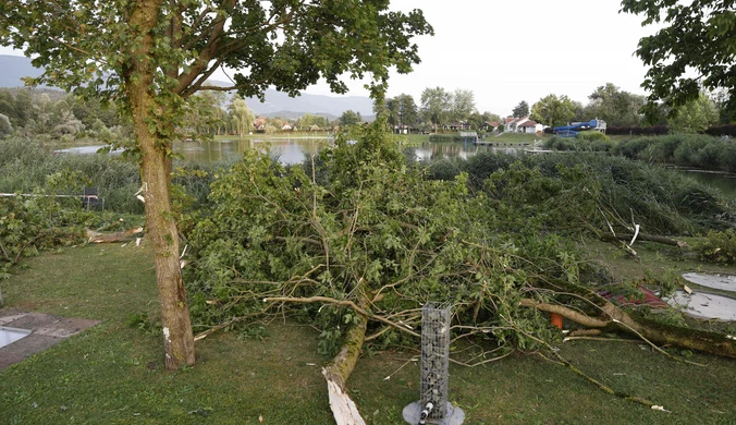 Gwałtowne burze nad Austrią. Drzewa przygniotły ludzi, wśród ofiar dzieci