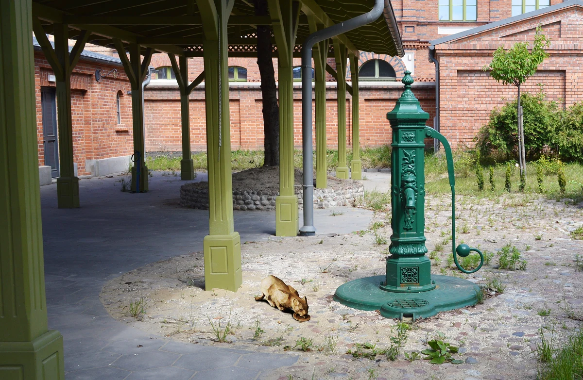 Kot Konsumowy, Kolejowy czy Szkolny już niebawem zagoszczą na zabytkowym osiedlu Księży Młyn w Łodzi. Właśnie rozstrzygnięto konkurs na opracowanie i wykonanie rzeźb kotów w siedmiu lokalizacjach.