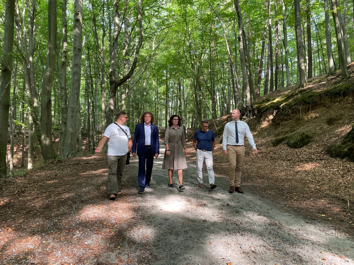 Prezydenci Gdańska, Gdyni i Sopotu protestują przeciwko dewastacji lasów i apelują do społeczników o nagłośnianie tej sytuacji i o pisanie listów do osób zarządzającymi lasami.  To po tym jak Regionalna Dyrekcja Lasów Państwowych zdecydowała o nieprzedłużeniu certyfikatu, który między innymi zapobiega nadmiernemu wycinaniu drzew na terenach lasów i parków. 
