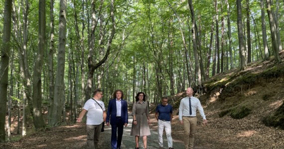 Prezydenci Gdańska, Gdyni i Sopotu protestują przeciwko dewastacji lasów i apelują do społeczników o nagłośnianie tej sytuacji i o pisanie listów do osób zarządzającymi lasami.  To po tym jak Regionalna Dyrekcja Lasów Państwowych zdecydowała o nieprzedłużeniu certyfikatu, który między innymi zapobiega nadmiernemu wycinaniu drzew na terenach lasów i parków. 
