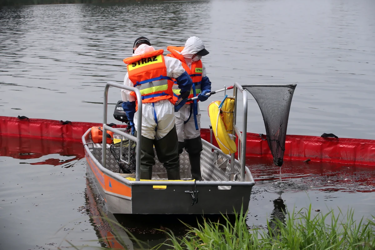 "To pierwszy znak nadziei po katastrofie: w Odrze ponownie wykryto żywe ryby" - pisze w piątek niemiecki portal rbb24, informując o rezultatach próbnego połowu w Brandenburgii. Wiele wskazuje, że przyczyną śnięcia ryb w Odrze są tzw. złote algi.