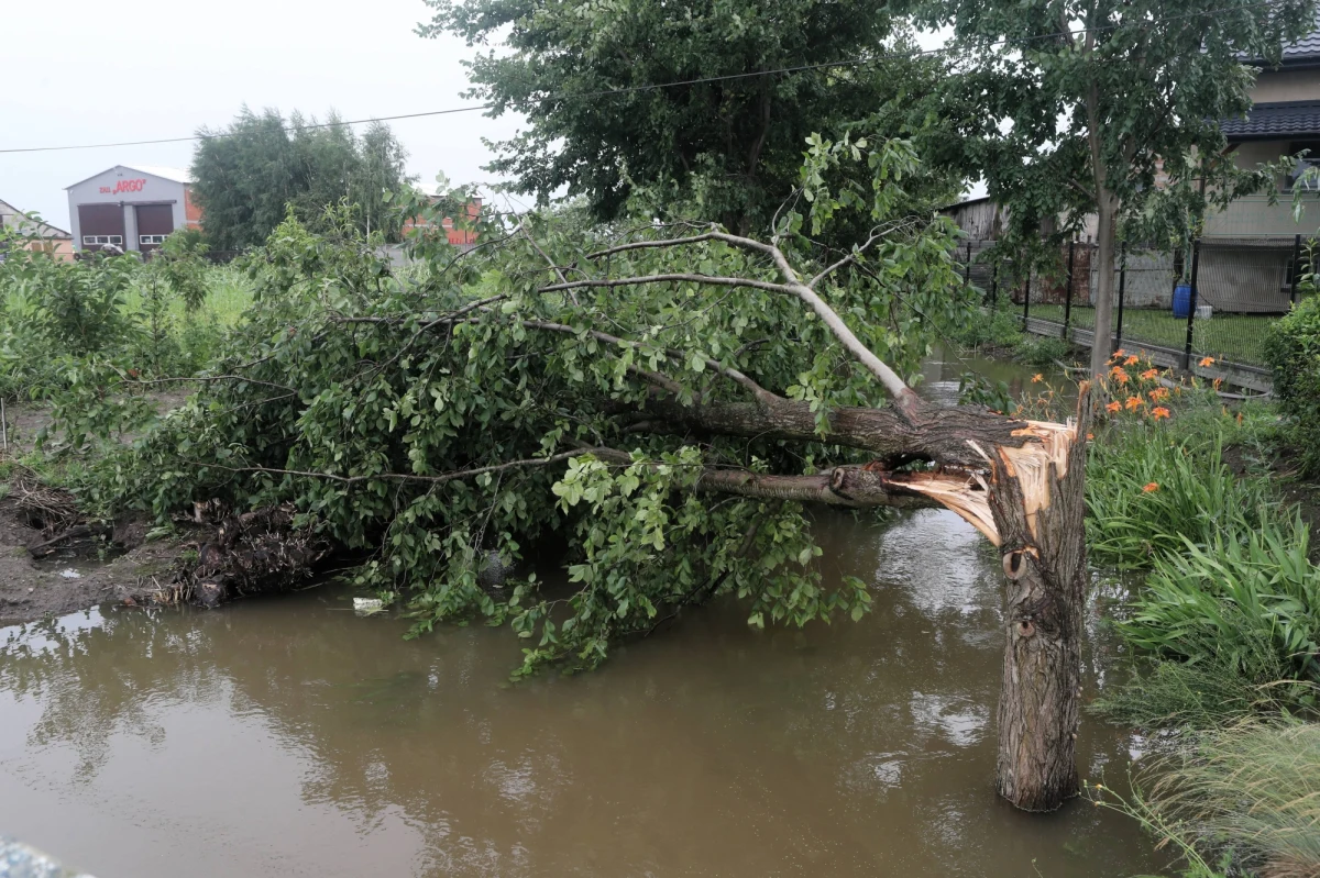 Ponad 140 razy interweniowali strażacy z woj. śląskiego po intensywnych burzach, które przetoczyły się nad regionem. Kilkanaście zgłoszeń dotyczyło uszkodzonych dachów. Jeden - na budynku gospodarczym w powiecie raciborskim – został zerwany. Z kolei do pomieszczeń szpitala  wojewódzkiego w Opolu wdarła się woda.  