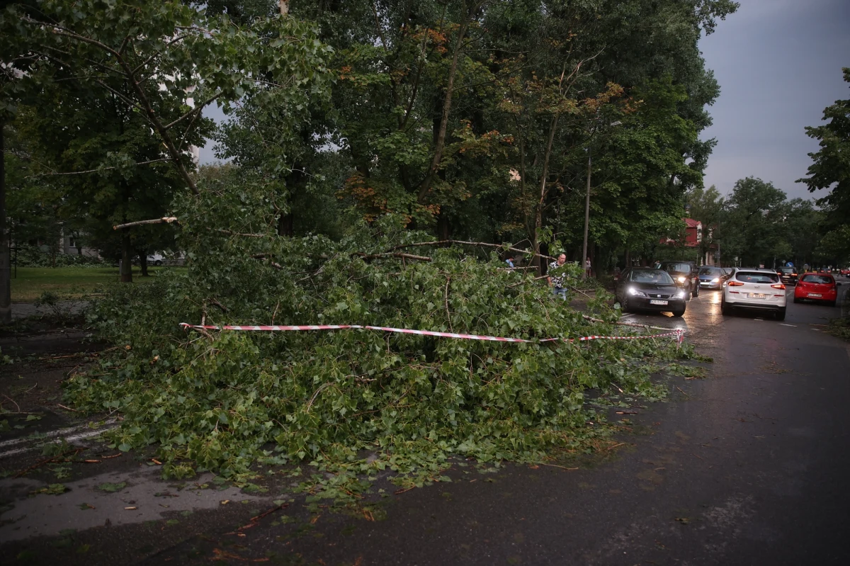 Synoptycy ostrzegają przed nawałnicami, które pojawią się m.in. w województwach śląskim, małopolskim i łódzkim. Większość alertów obowiązuje do niedzieli nad ranem. Jak zaznacza IMGW, w ciągu dnia burze prognozowane są na przeważającym obszarze Polski z wyjątkiem wschodu.