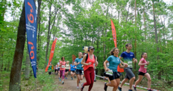 10 września w Lesie Bielańskim, rusza trzecia odsłona Leśnej Triady Biegowej. Bieg dla dorosłych, nordic walking, biegi i atrakcje dla dzieci – wszystko to bezpłatnie. Zapisy ruszyły. 