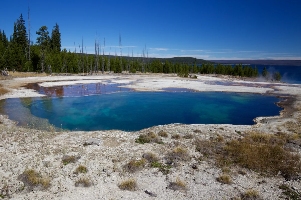 Nietypowe znalezisko na terenie Parku Narodowego Yellowstone. Na powierzchni jednego z gorących źródeł odkryto... ludzką stopę w bucie. Władze parku podejrzewają, że mogą to być szczątki osoby, która miała zginąć pod koniec lipca.