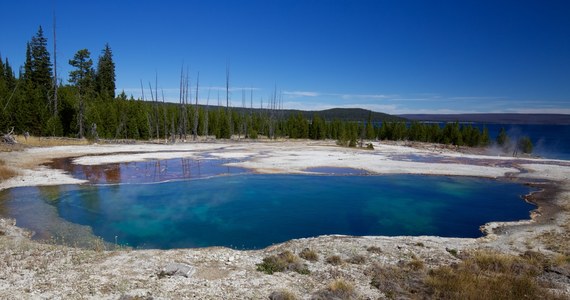 Nietypowe znalezisko na terenie Parku Narodowego Yellowstone. Na powierzchni jednego z gorących źródeł odkryto... ludzką stopę w bucie. Władze parku podejrzewają, że mogą to być szczątki osoby, która miała zginąć pod koniec lipca.