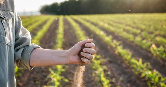 ​Z początkiem września w Łodzi zacznie działać regionalny jarmark rolniczy. To będzie pierwsze takie targowisko w stolicy województwa, na którym rolnicy, ogrodnicy i sadownicy będą mogli sprzedawać swoje produkty bezpośrednio konsumentom.
