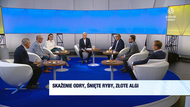 Jednym z głównych tematów niedzielnego "Śniadania Rymanowskiego w Polsat News i Interii" było skażenie Odry oraz działania polskiego rządu w tej sprawie. - Braliśmy pod uwagę kilka hipotez - celowy zrzut toksyn, spuszczenie ścieków poprzemysłowych, warunki naturalne i to, że kilka z nich mogło wystąpić w tym samym czasie. Fakt potwierdzenia złotych alg pokazuje, że zbiegły się w czasie trzy czynniki sprzyjające zakwitowi - niski poziom wód, wysoka temperatura oraz wysokie zasolenie – powiedziała wiceminister klimatu Małgorzata Golińska. Według Władysława Teofila Bartoszewskiego (PSL)  "wygodnym, ale nieprawdziwym wyjaśnieniem jest, że to wina natury". Grzegorz Schetyna stwierdził, że ''to nieprawda. Nie wiadomo, co to było i oczekujemy ciężkiej pracy, by poznać prawdziwe przyczyny''. - Apelowałbym o ograniczenie politycznego rozpatrywania tej sprawy, to niczemu nie służy - ani Odrze, ani rozwiązaniu problemu – dodał rzecznik PiS Radosław Fogiel.