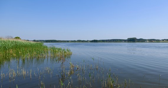 W nocy z soboty na niedzielę w Jeziorze Niepruszewskim w Wielkopolsce odkryto śnięte ryby. Rzeczniczka prasowa starosty poznańskiego Katarzyna Wozińska-Gracz poinformowała, że inspektorzy pobrali próbki wody do badań, a padłe ryby są odławiane.