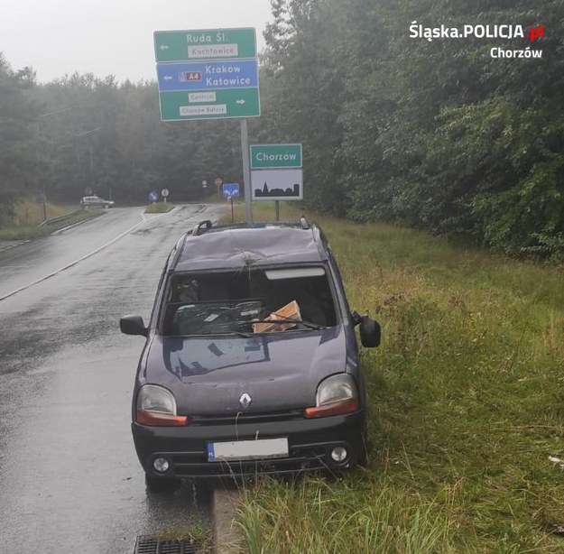 /Śląska policja /Materiały prasowe