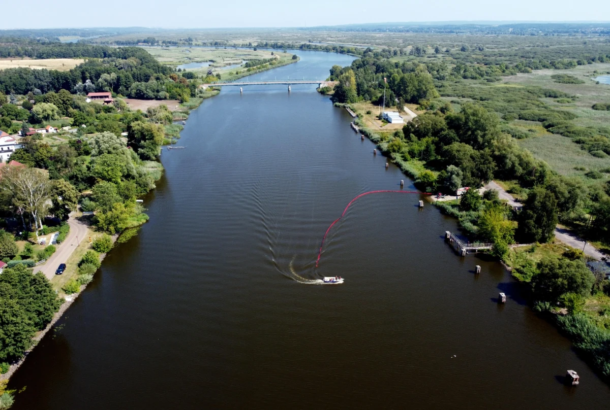 Ogromny zakwit glonów w Odrze potwierdzają dane satelitarne. Naukowcy porównali ze sobą zdjęcia rzeki pochodzące z różnych okresów.