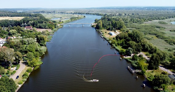 Ogromny zakwit glonów w Odrze potwierdzają dane satelitarne. Naukowcy porównali ze sobą zdjęcia rzeki pochodzące z różnych okresów.
