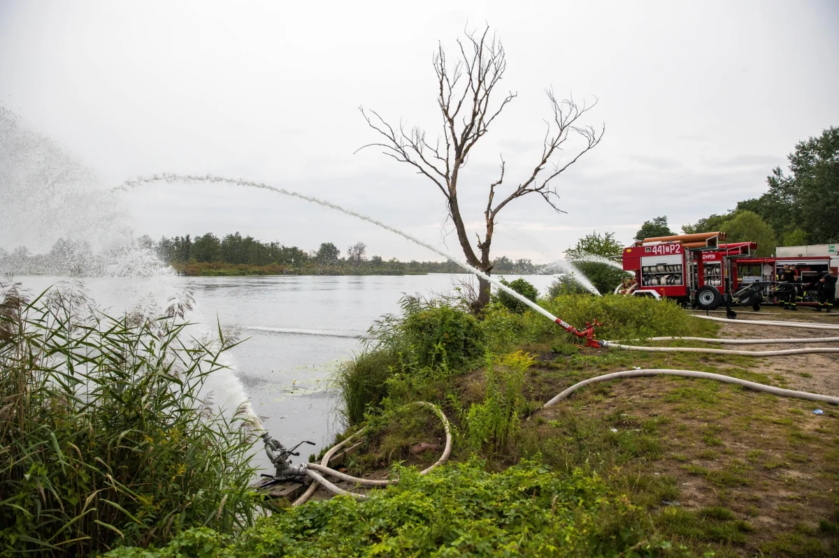 Wojewoda zachodniopomorski Zbigniew Bogucki przekazał, że warunki tlenowe w każdym punkcie Odry ulegają poprawie. Dodał, że sytuacja w rzece znacząco poprawiła się także na południu województwa.