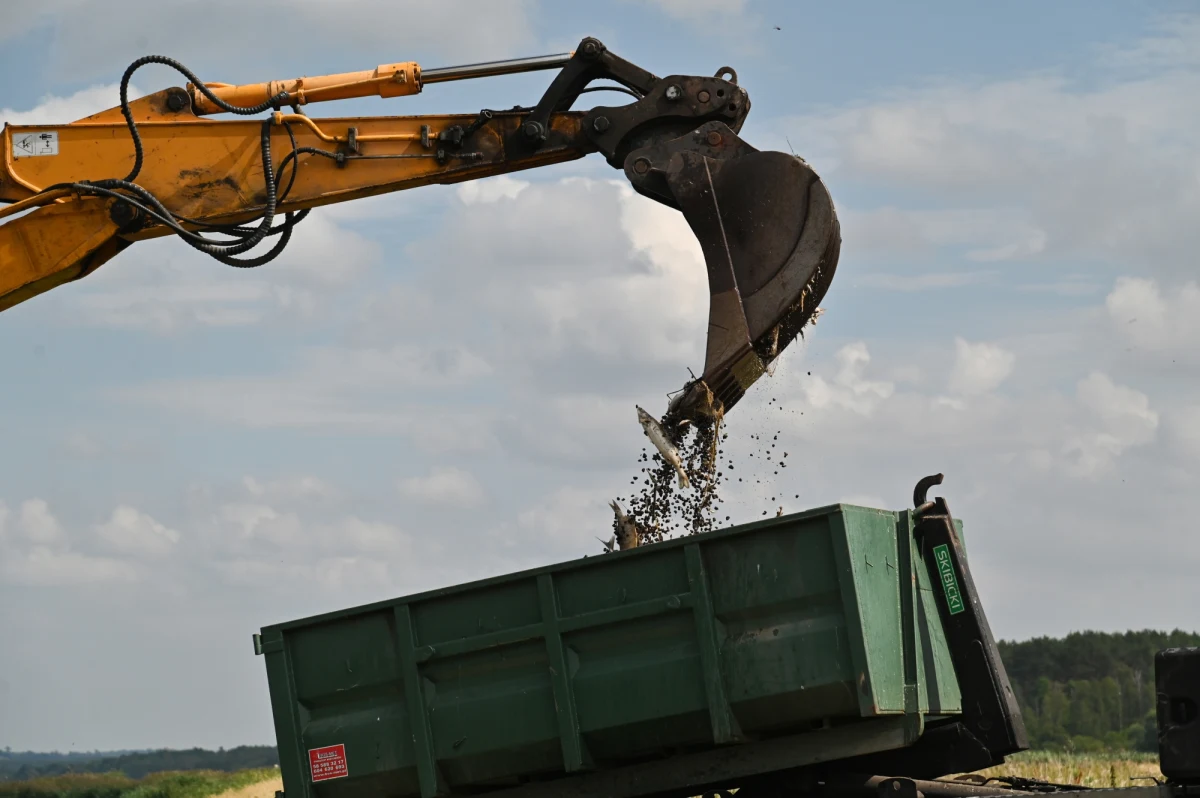 Przepisy o pomocy dla przedsiębiorców z terenów nadodrzańskich mają być gotowe w pierwszych dniach września - ustalił nieoficjalnie dziennikarz RMF FM Roch Kowalski. Rząd skłania się do bezpośrednich wypłat z Funduszu Pracy, bez tworzenia oddzielnej specustawy o pomocy dla firm. W pierwszej kolejności przedsiębiorcy będą mogli liczyć na dopłaty około 3 tysięcy złotych na pracownika.