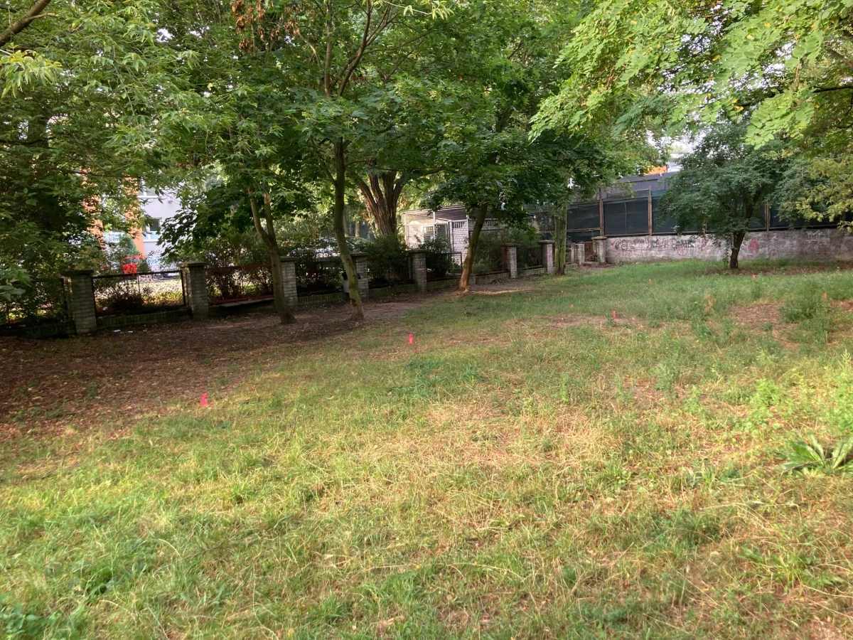 Orientalny zieleniec powstanie z inicjatywy mieszkańców, którzy oddali głosy w Zielonym Budżecie Obywatelskim. Skwer pojawi się na terenie za przychodnią przy ul. Jagiellońskiej. Park kieszonkowy będzie miejscem wypoczynku inspirowanym kulturą Japonii. 