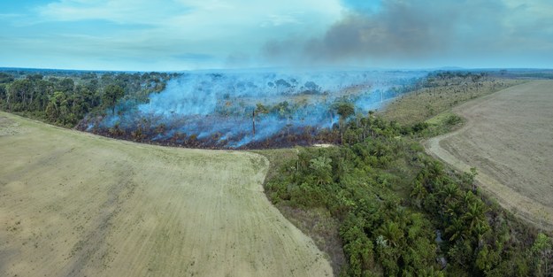 Pożary w Amazonii największe od 5 lat