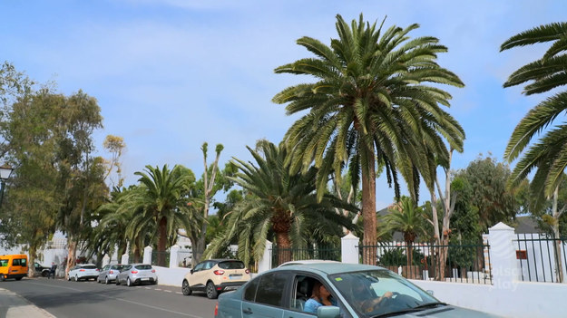 W niedużej miejscowości o nazwie Haria na wyspie Lanzarote znajduje się niezwykła dolina, która słynie z ogromnej ilości rosnących tam palm. Mieszkająca na Wyspach Kanaryjskich Ewelina powiedziała kilka słów na temat genezy jej powstania. Fragment programu ''Polacy za granicą'', emitowany na antenie Polsat Play. Cały program ''Polacy za granicą'' możecie zobaczyć TUTAJ!