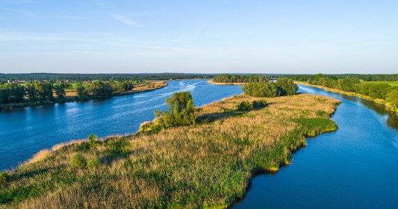 Wojewoda dolnośląski Jarosław Obremski odwołał zakaz połowu ryb w Odrze. Od godz. 15 będzie można na dolnośląski odcinku rzeki wędkować, ale złowione ryby należy wypuścić do rzeki.