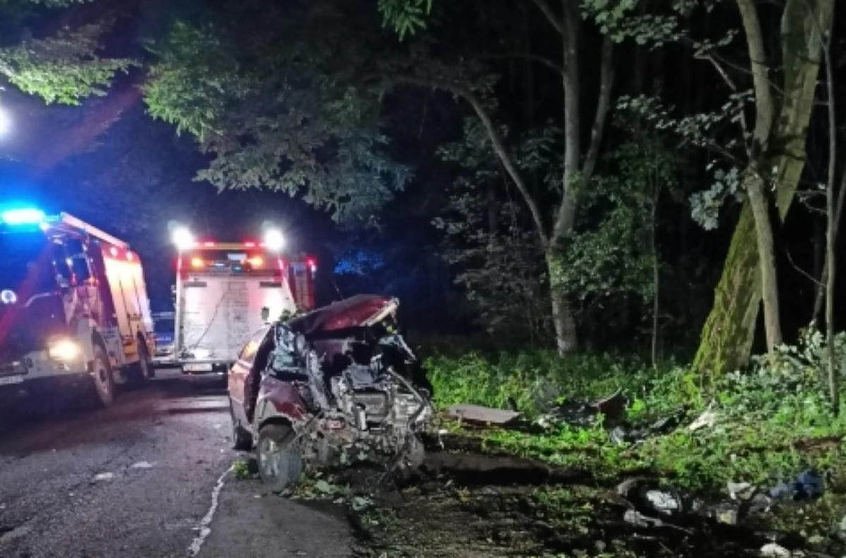 Uderzenie samochodem w drzewo, do którego doszło w trakcie ucieczki przed policją, przyczyniło się do śmierci dwóch mężczyzn w wieku 27 i 28 lat.  Do zdarzenia doszło w nocy w powiecie pajęczańskim (woj. łódzkie).