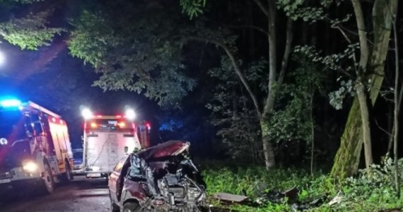 Uderzenie samochodem w drzewo, do którego doszło w trakcie ucieczki przed policją, przyczyniło się do śmierci dwóch mężczyzn w wieku 27 i 28 lat.  Do zdarzenia doszło w nocy w powiecie pajęczańskim (woj. łódzkie).