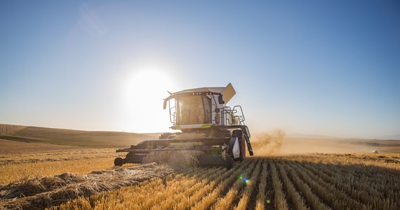 Wyższe dopłaty dla rolników i jak najszybszy powrót do pełnej produkcji nawozów. To główne postulaty, które w wydanym dzisiaj stanowisku zawarł Polski Związek Producentów Roślin Zbożowych. Rolnicy przygotowali swoje pismo z okazji odbywających się w wielu regionach dożynek.

